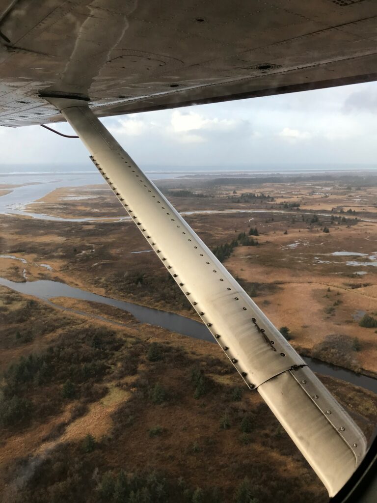 Aerial view of Seal Creek in the Yakutat Forelands, October 2019