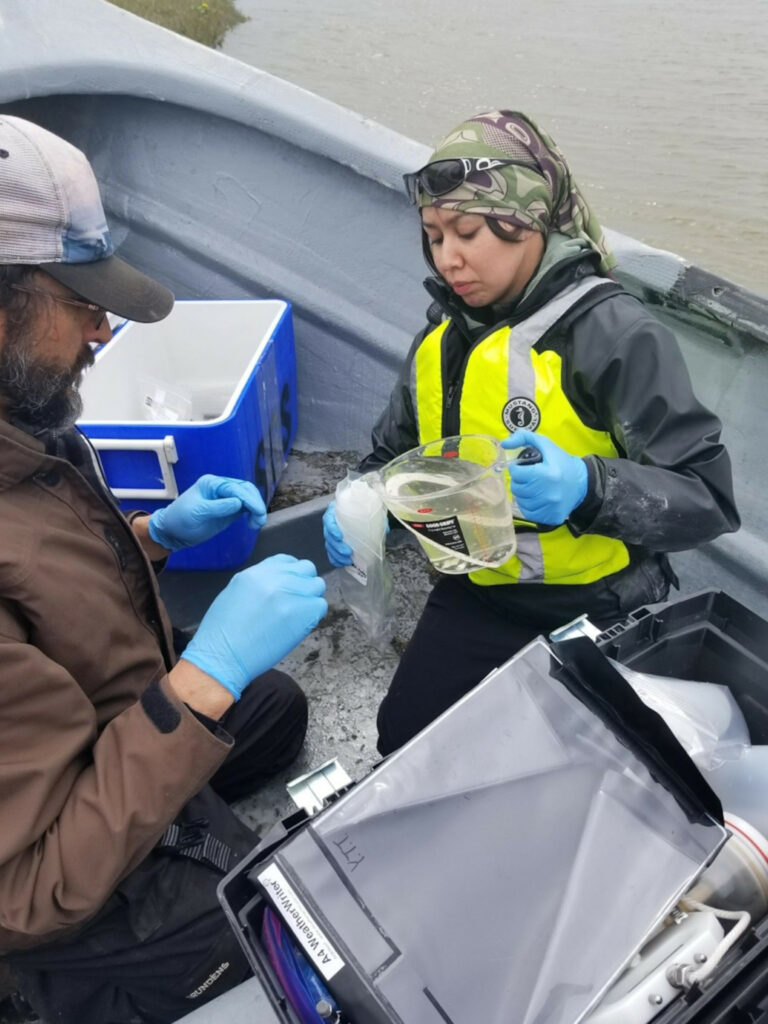 Sampling from Seal Creek, May 2019