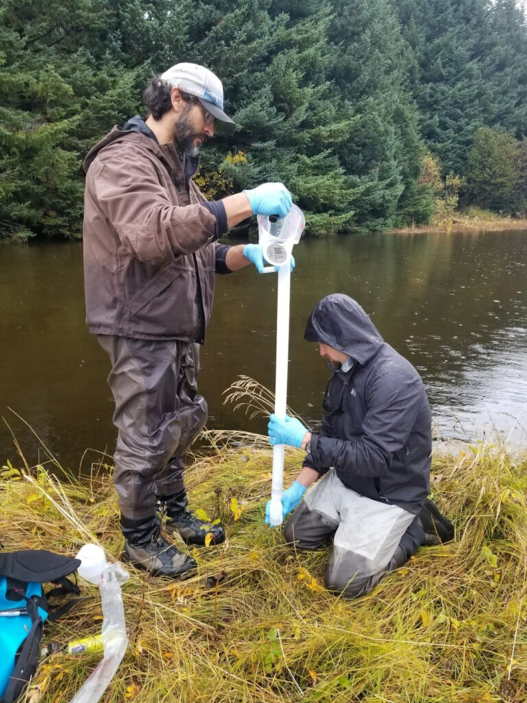 Sampling from the Middle Italio River, October 2019