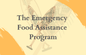 Read more about the article The Emergency Food Assistance Program (TEFAP) FY2021 Application
