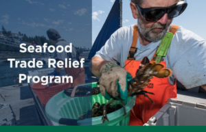 Read more about the article Deadline Extended for Seafood Trade Relief Program